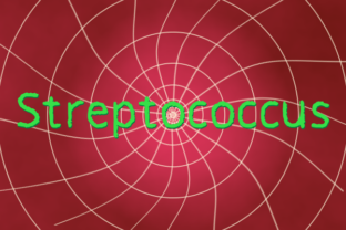Streptococcus: A Font Review for Real-World Design