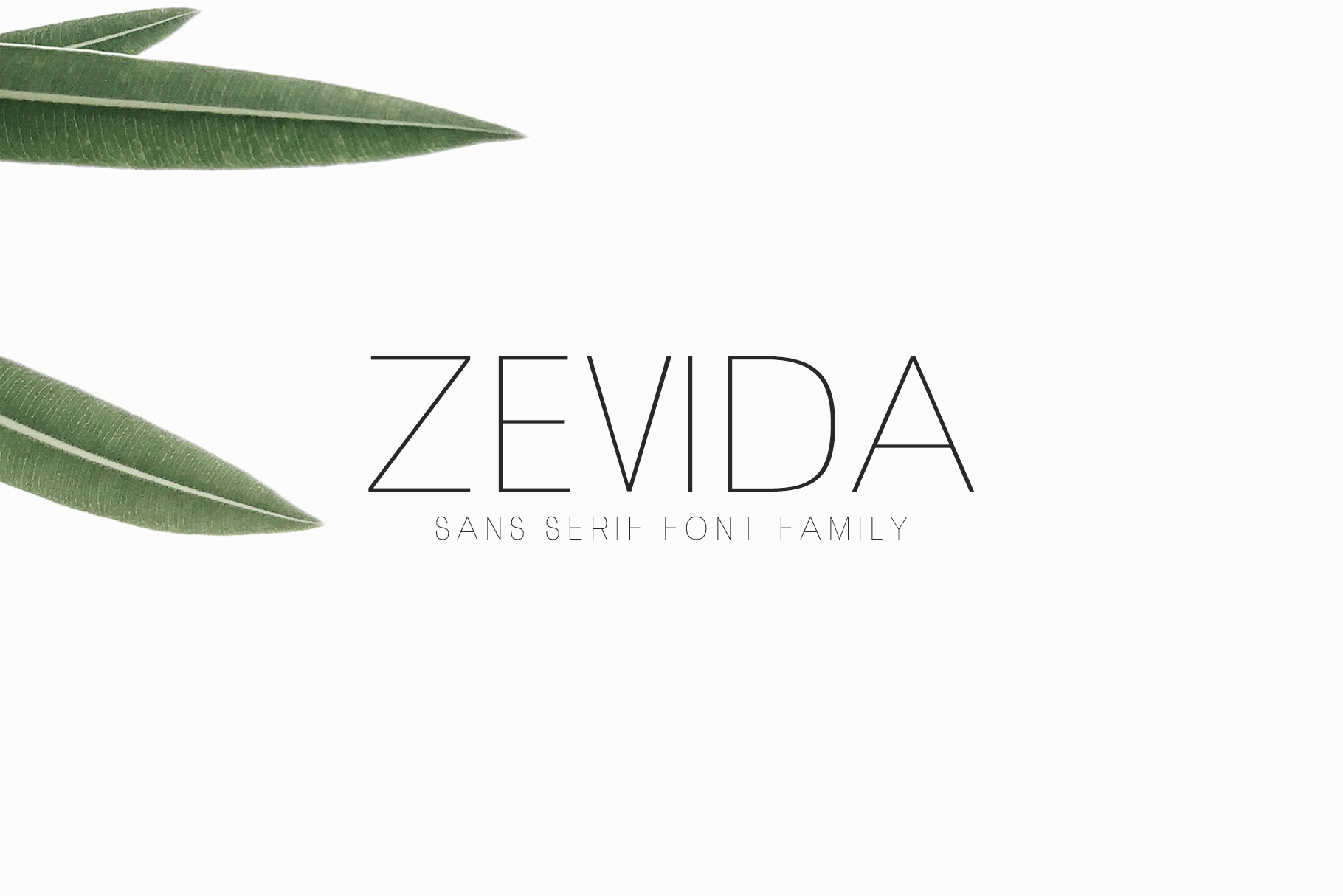 Zevida Font: A Clear and Confident Typeface for Campaigns